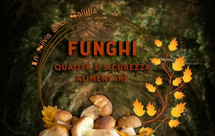 “In Silvis Amor Salutis”: l’evento dedicato al commercio dei funghi e alla sicurezza alimentare